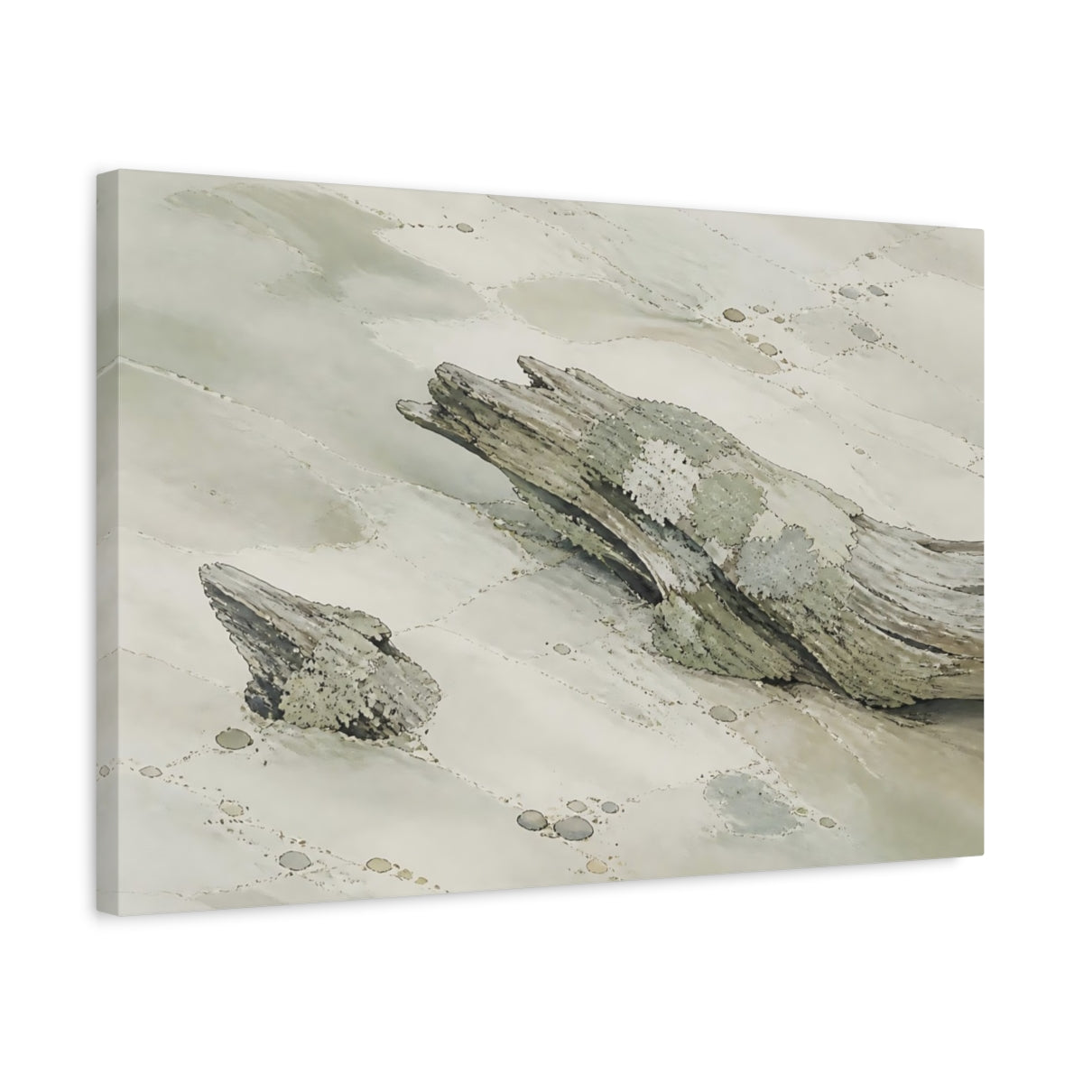Side Mockup 3. Lichen-Covered Driftwood shown as canvas print