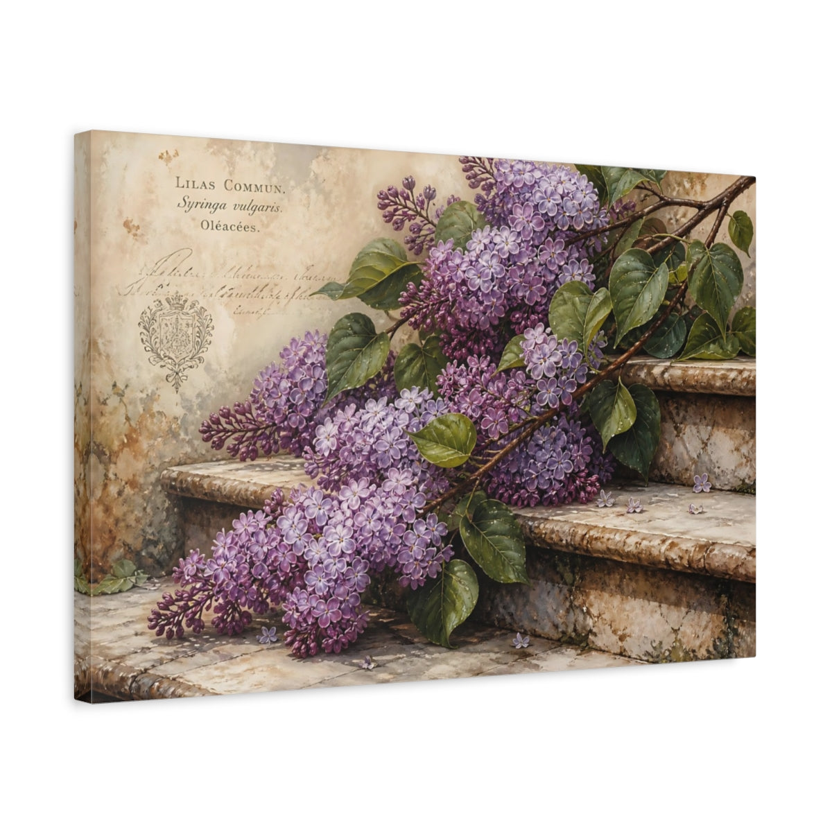 Side Mockup 3. Vintage Botanical Illustration Lilac Branches Above Stone Steps With Dew Drops shown as stretched canvas wall art