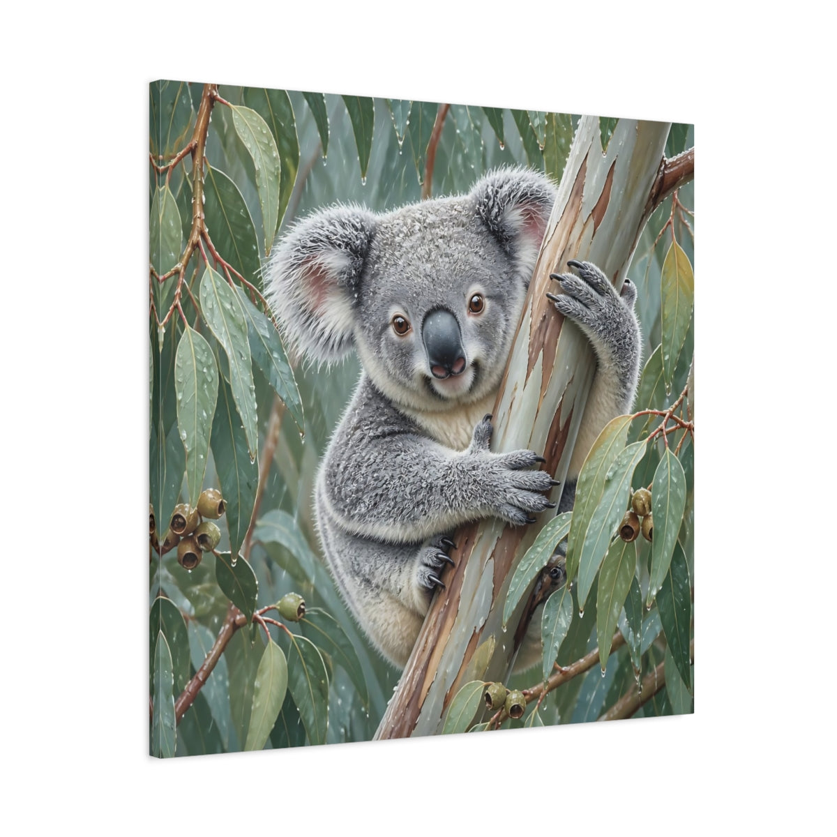 Main Mockup. Animal Koala In Rainy Eucalyptus shown as canvas print