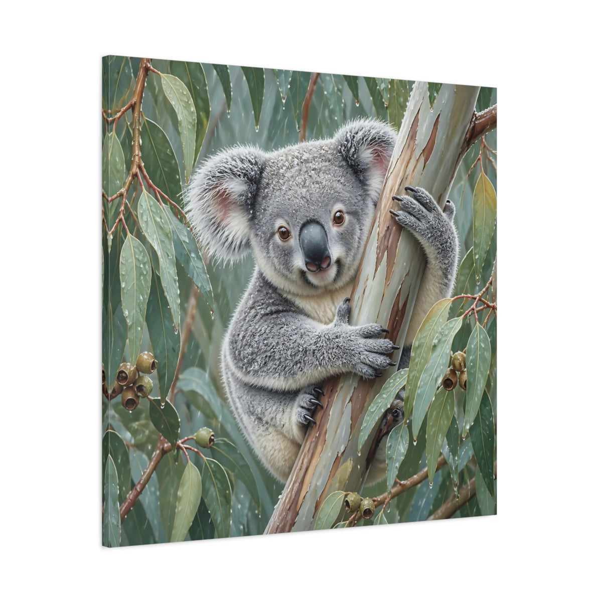 Side Mockup 1. Animal Koala In Rainy Eucalyptus shown as canvas print