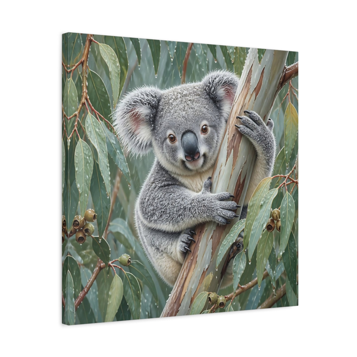Side Mockup 4. Animal Koala In Rainy Eucalyptus shown as canvas print