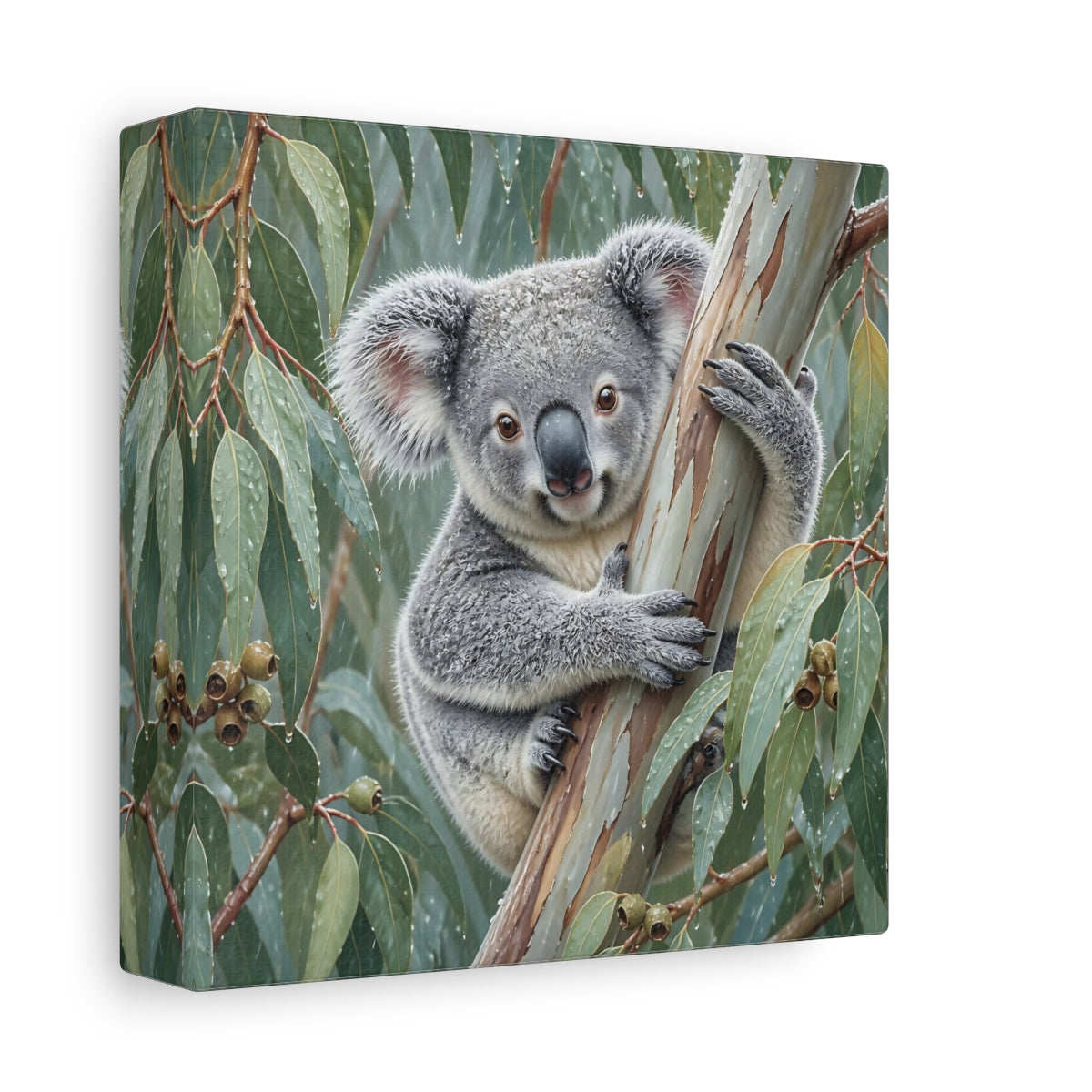 Side Mockup 2. Animal Koala In Rainy Eucalyptus shown as canvas print