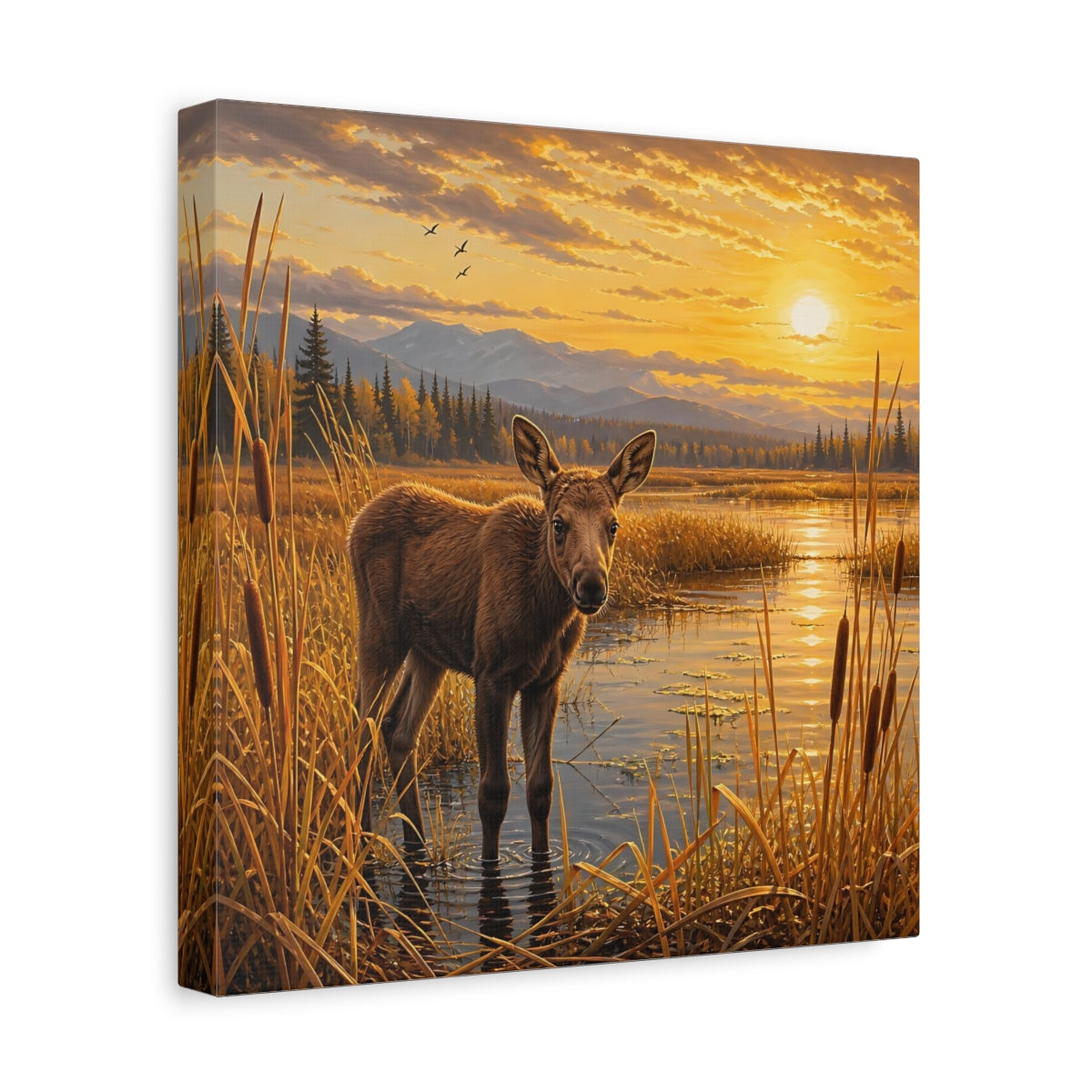 Side Mockup 8. Animals Baby Moose Golden Sunset shown as stretched canvas wall art