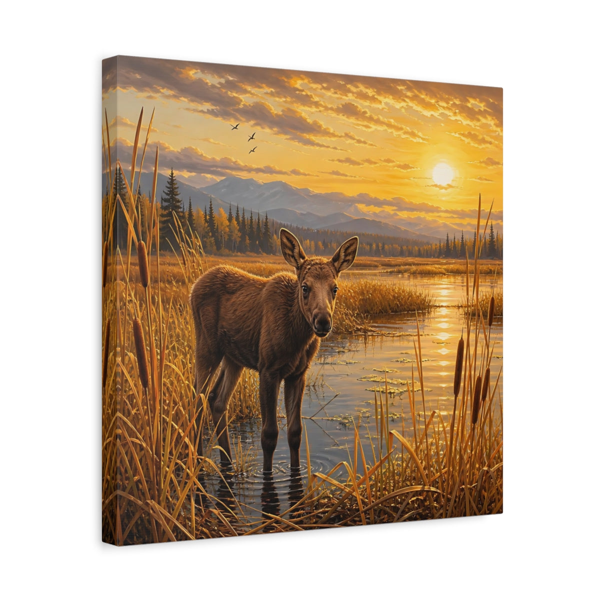 Side Mockup 6. Animals Baby Moose Golden Sunset shown as stretched canvas wall art