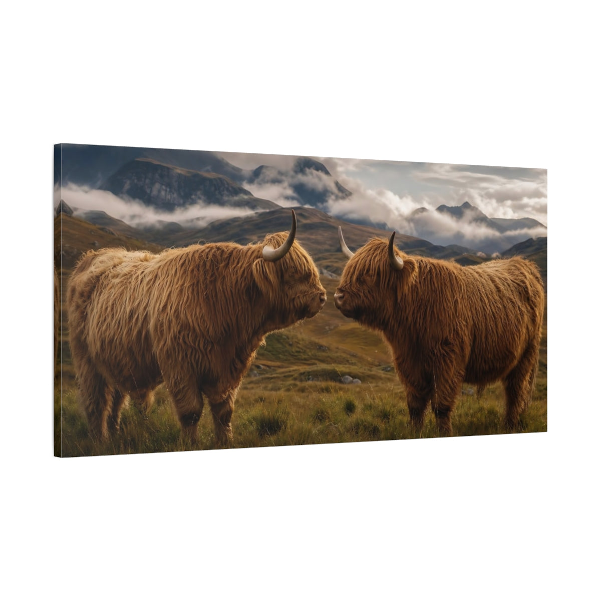 Main Mockup. Animals Highland Cows Brown Highland Cows shown as stretched canvas wall art