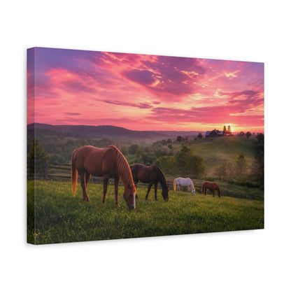 Side Mockup 4. Animals Horses Pink Sunset Horses shown as stretched canvas wall art