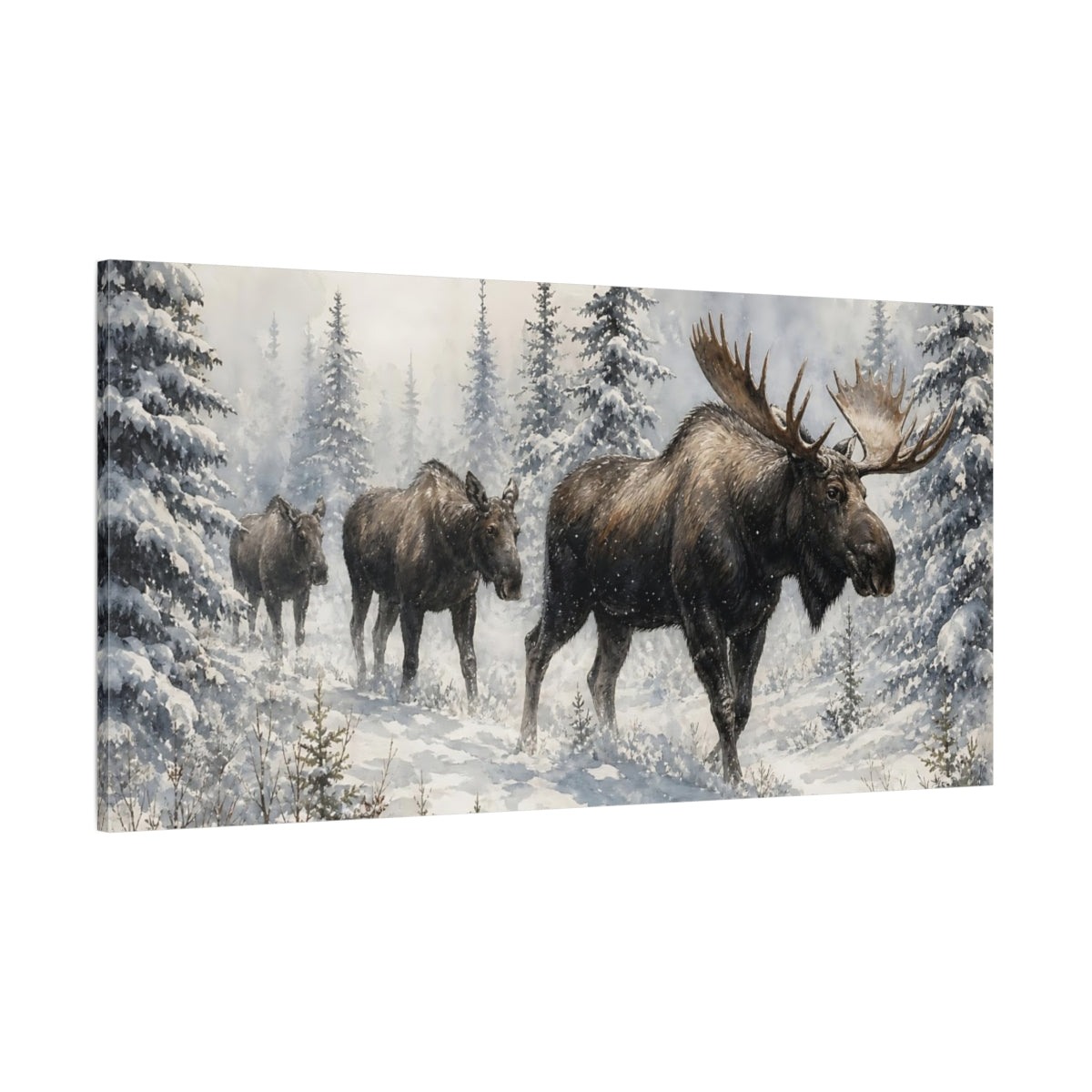 Side Mockup 2. Animals Moose Brown And White Moose shown as stretched canvas wall art