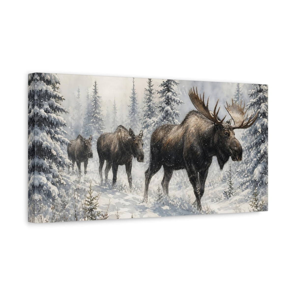 Side Mockup 3. Animals Moose Brown And White Moose shown as stretched canvas wall art