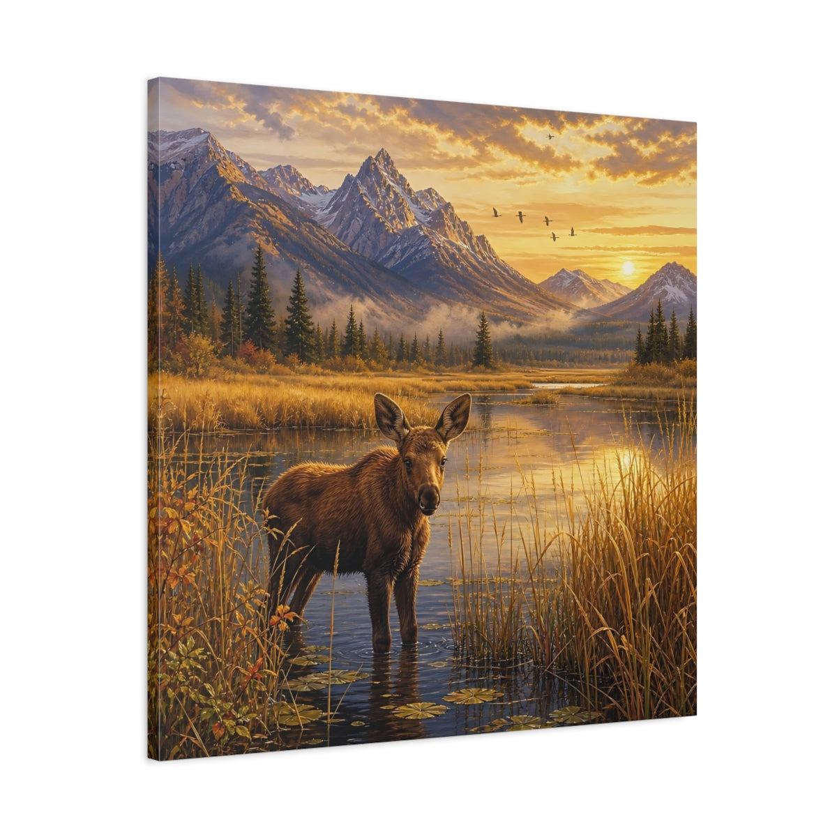 Side Mockup 3. Animals Moose Calf Golden Hour Wildlife shown as stretched canvas wall art