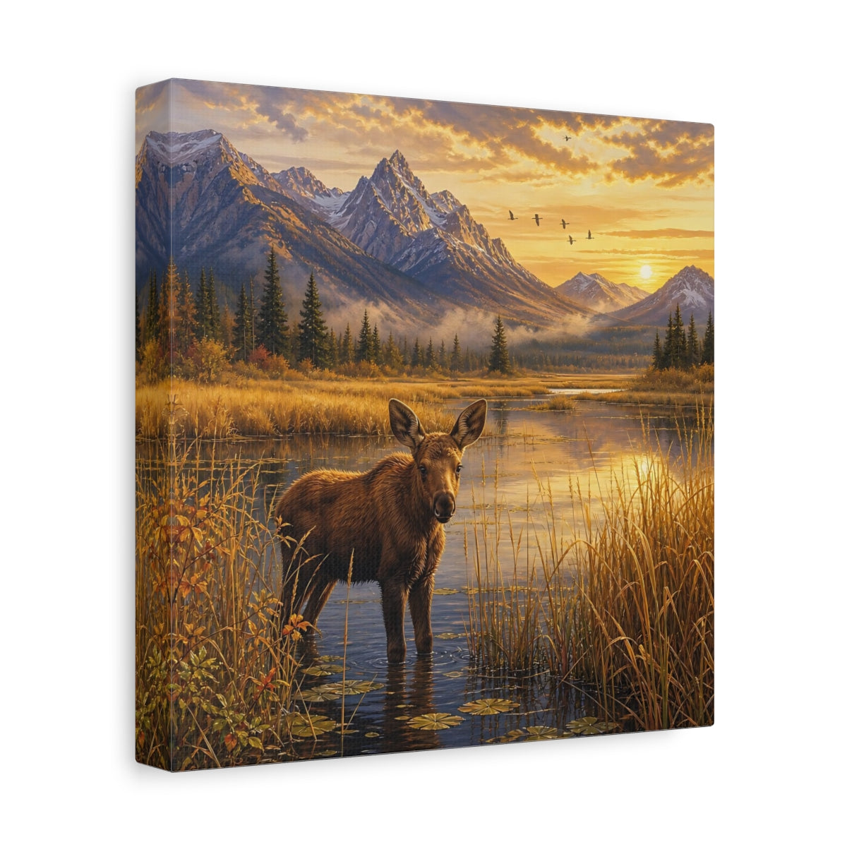 Side Mockup 9. Animals Moose Calf Golden Hour Wildlife shown as stretched canvas wall art