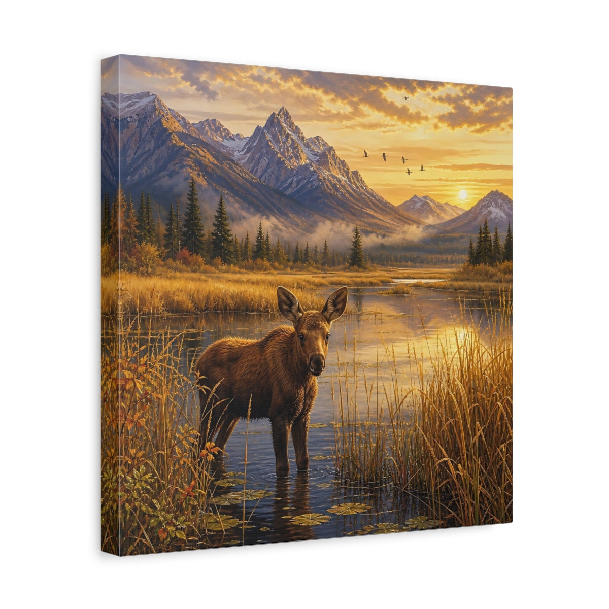 Side Mockup 7. Animals Moose Calf Golden Hour Wildlife shown as stretched canvas wall art