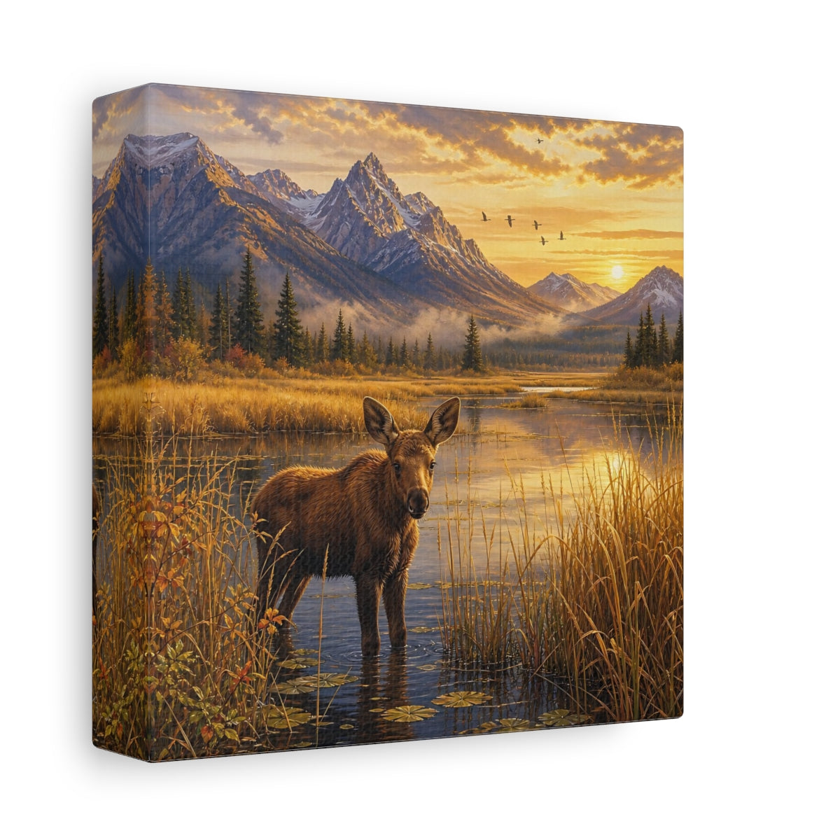 Side Mockup 2. Animals Moose Calf Golden Hour Wildlife shown as stretched canvas wall art