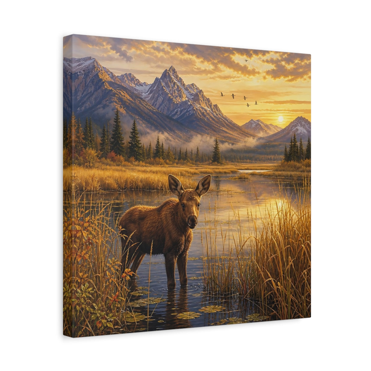 Side Mockup 6. Animals Moose Calf Golden Hour Wildlife shown as stretched canvas wall art