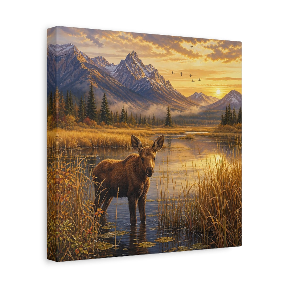 Side Mockup 8. Animals Moose Calf Golden Hour Wildlife shown as stretched canvas wall art