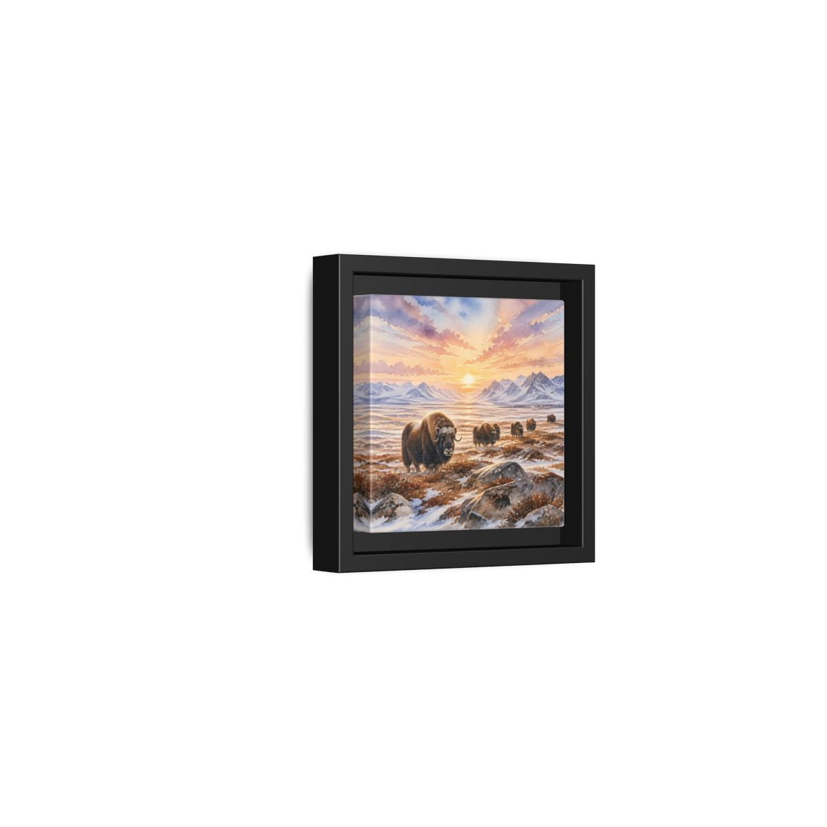 Side Mockup 24. Animals Musk Oxen Musk Oxen Landscape shown as stretched canvas wall art