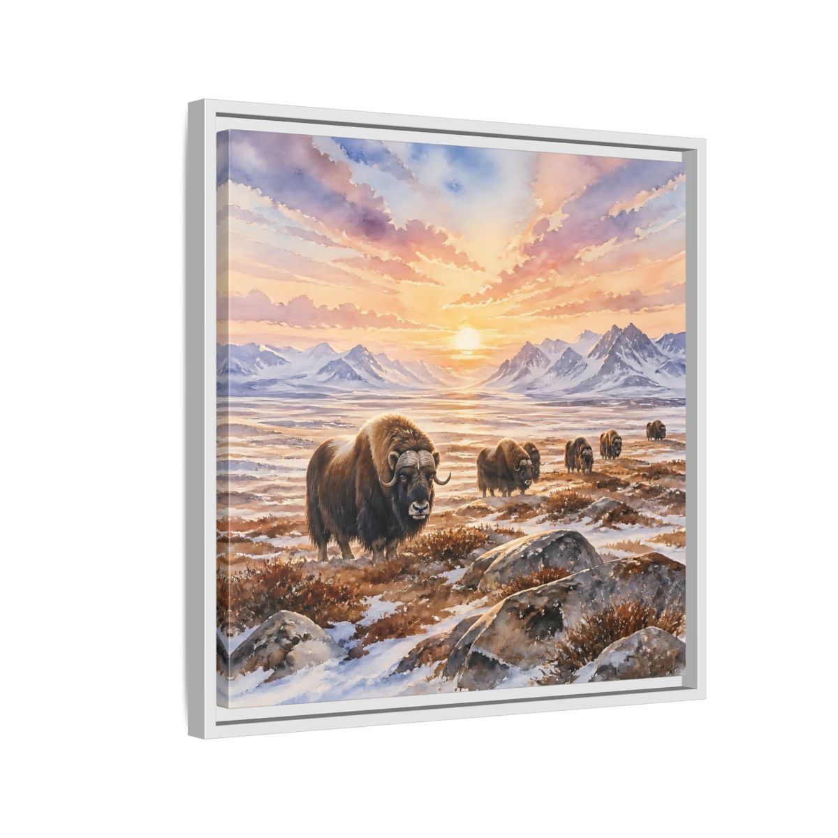 Side Mockup 10. Animals Musk Oxen Musk Oxen Landscape shown as stretched canvas wall art