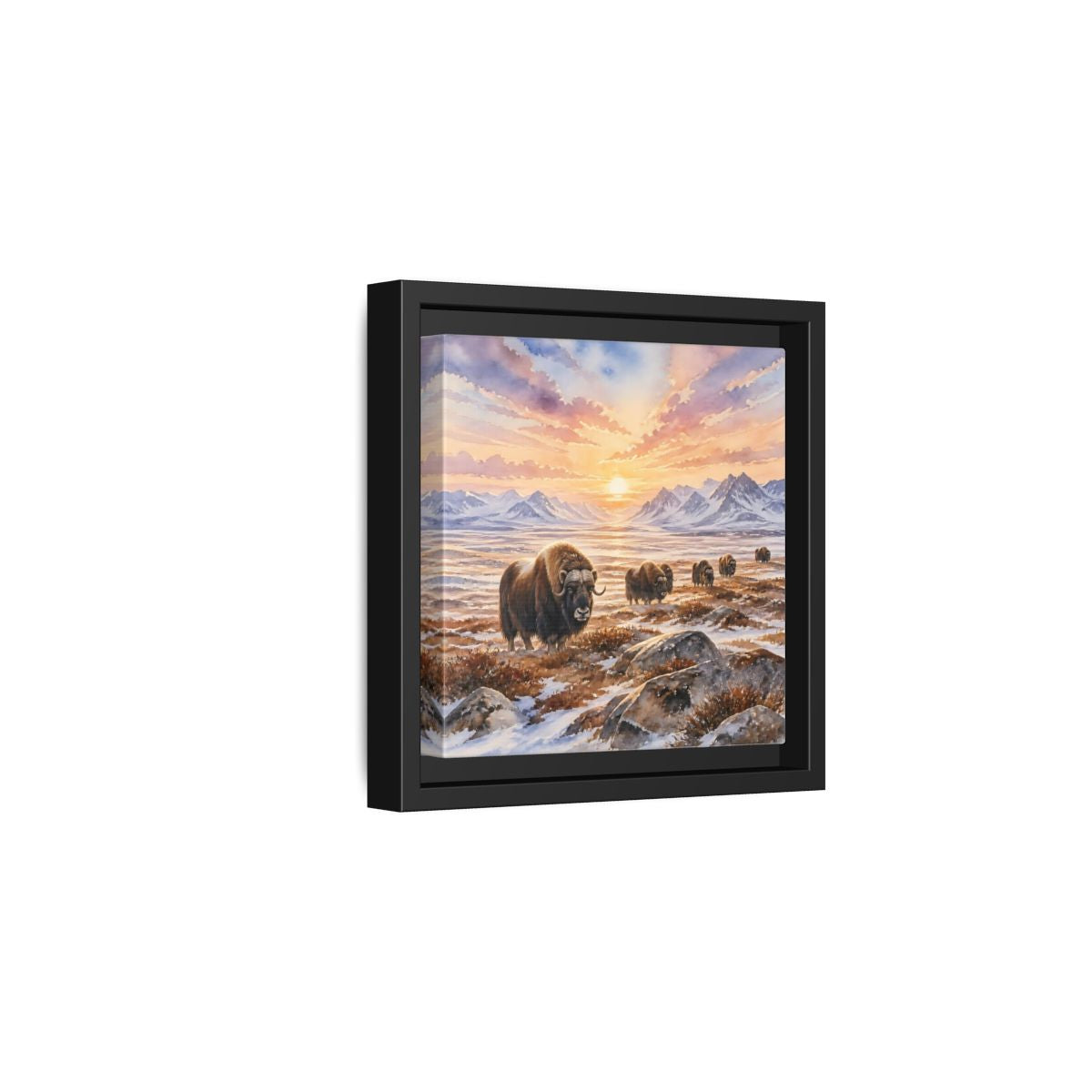 Side Mockup 3. Animals Musk Oxen Musk Oxen Landscape shown as stretched canvas wall art