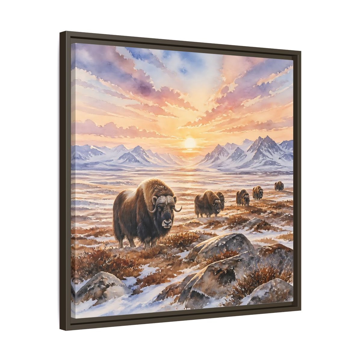 Side Mockup 27. Animals Musk Oxen Musk Oxen Landscape shown as stretched canvas wall art