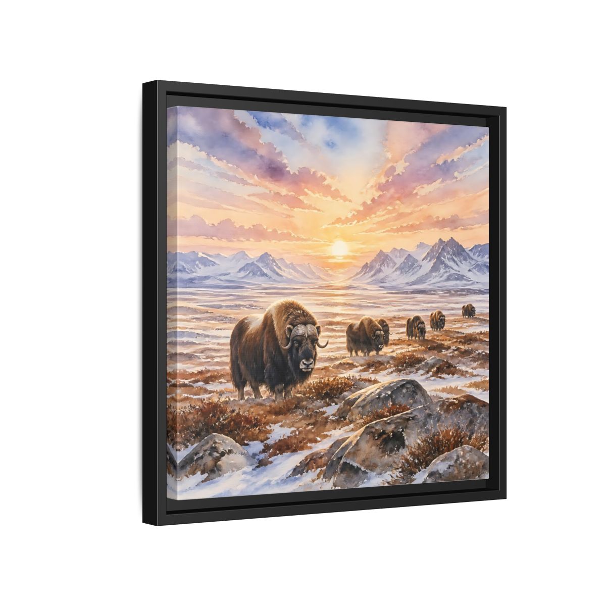 Side Mockup 15. Animals Musk Oxen Musk Oxen Landscape shown as stretched canvas wall art