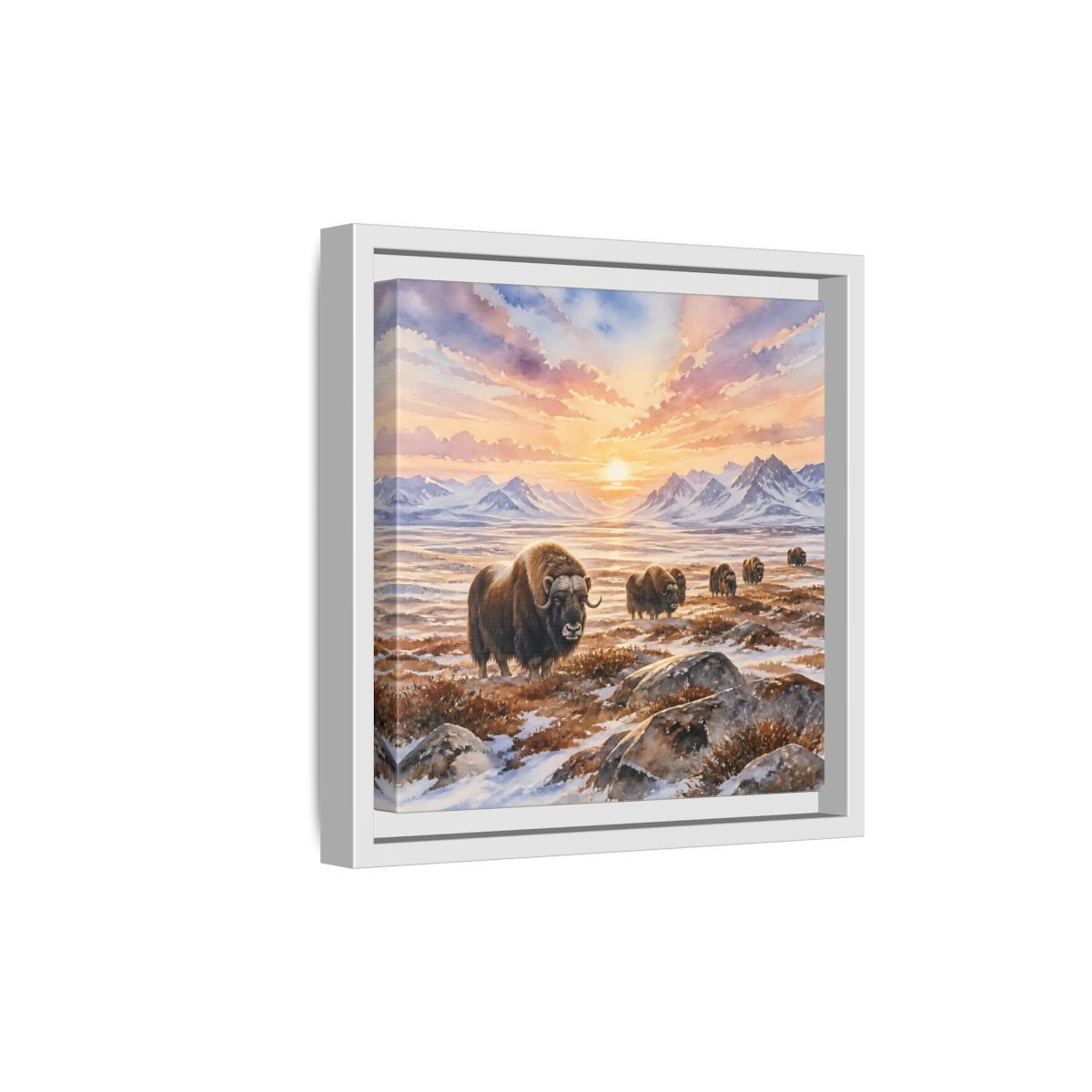 Side Mockup 19. Animals Musk Oxen Musk Oxen Landscape shown as stretched canvas wall art
