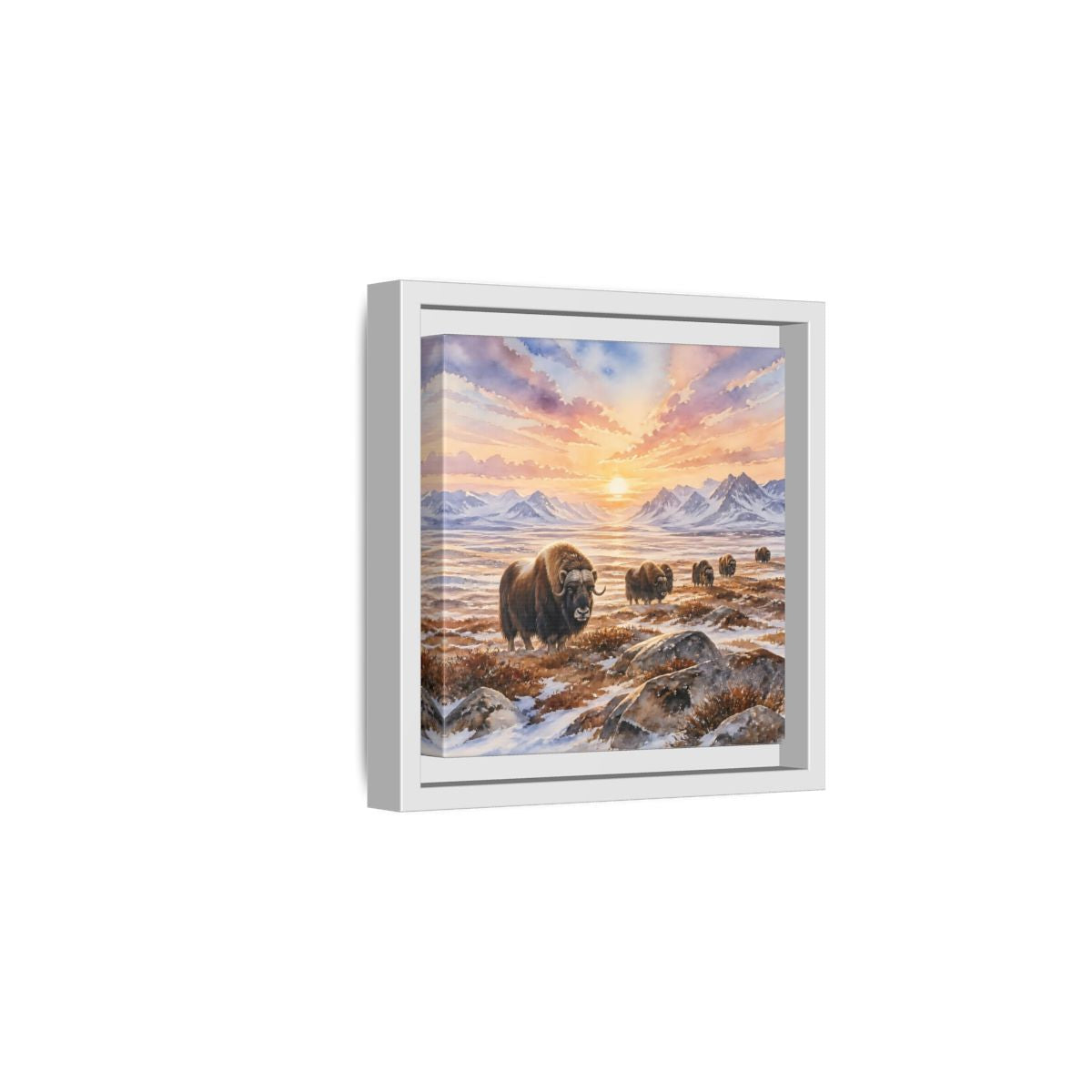Side Mockup 1. Animals Musk Oxen Musk Oxen Landscape shown as stretched canvas wall art