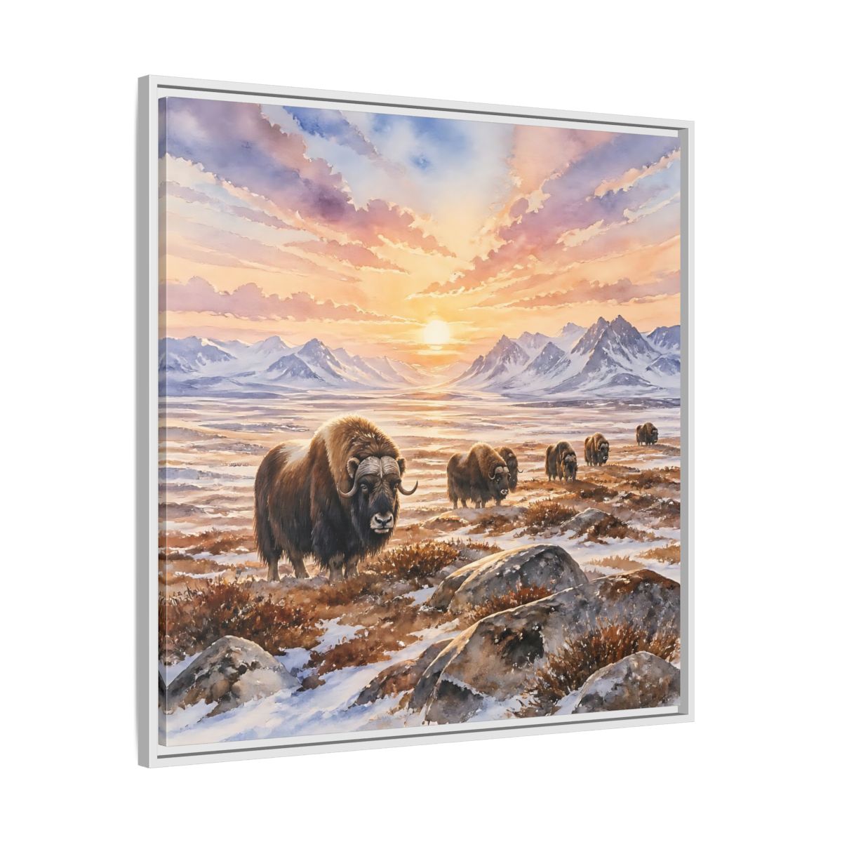 Side Mockup 25. Animals Musk Oxen Musk Oxen Landscape shown as stretched canvas wall art