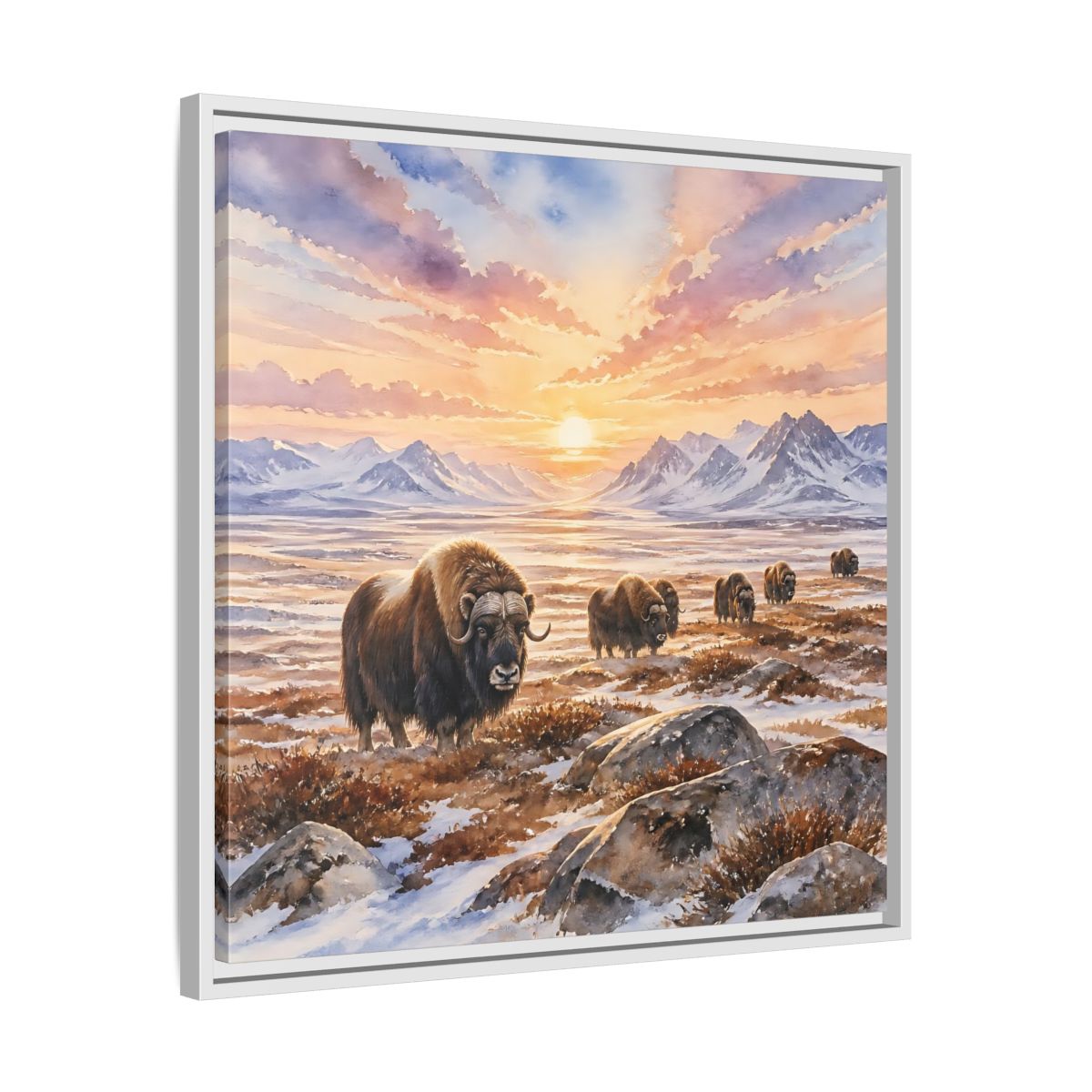 Side Mockup 26. Animals Musk Oxen Musk Oxen Landscape shown as stretched canvas wall art