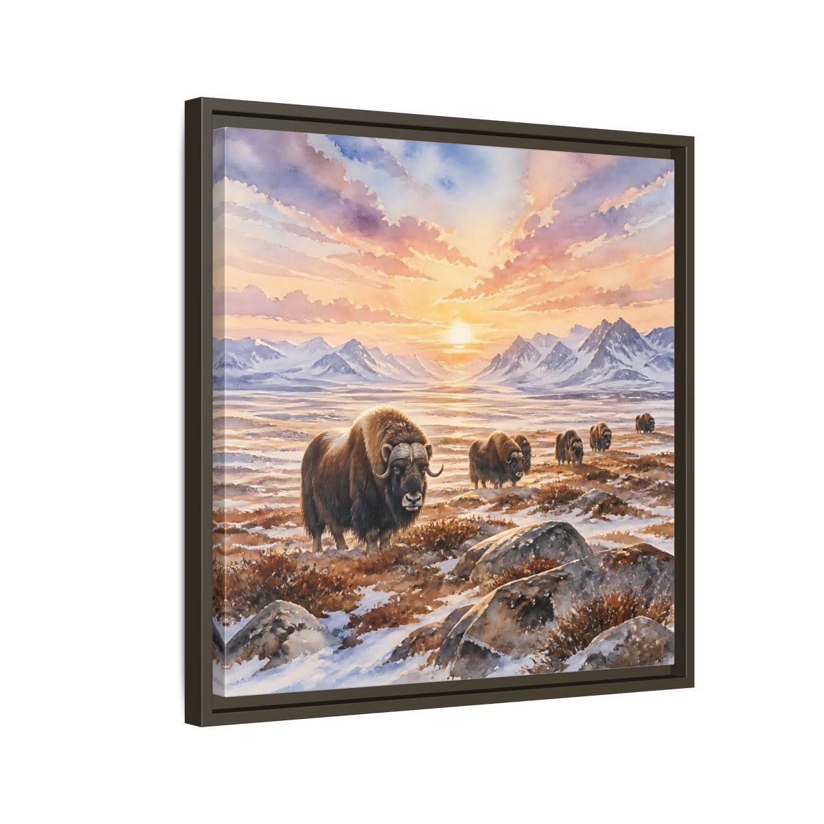 Side Mockup 11. Animals Musk Oxen Musk Oxen Landscape shown as stretched canvas wall art