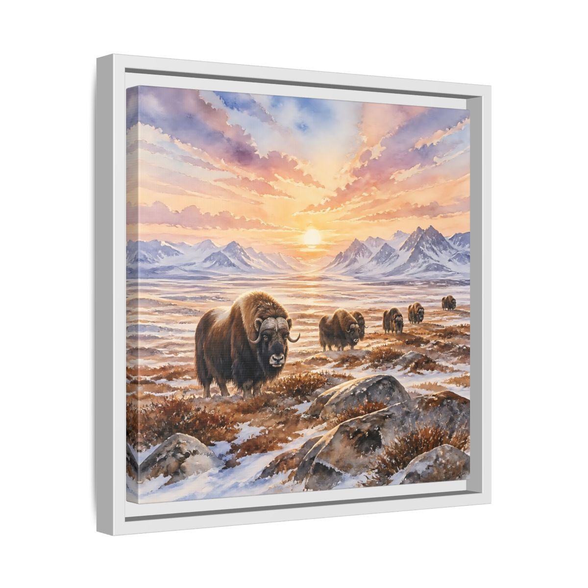 Side Mockup 28. Animals Musk Oxen Musk Oxen Landscape shown as stretched canvas wall art