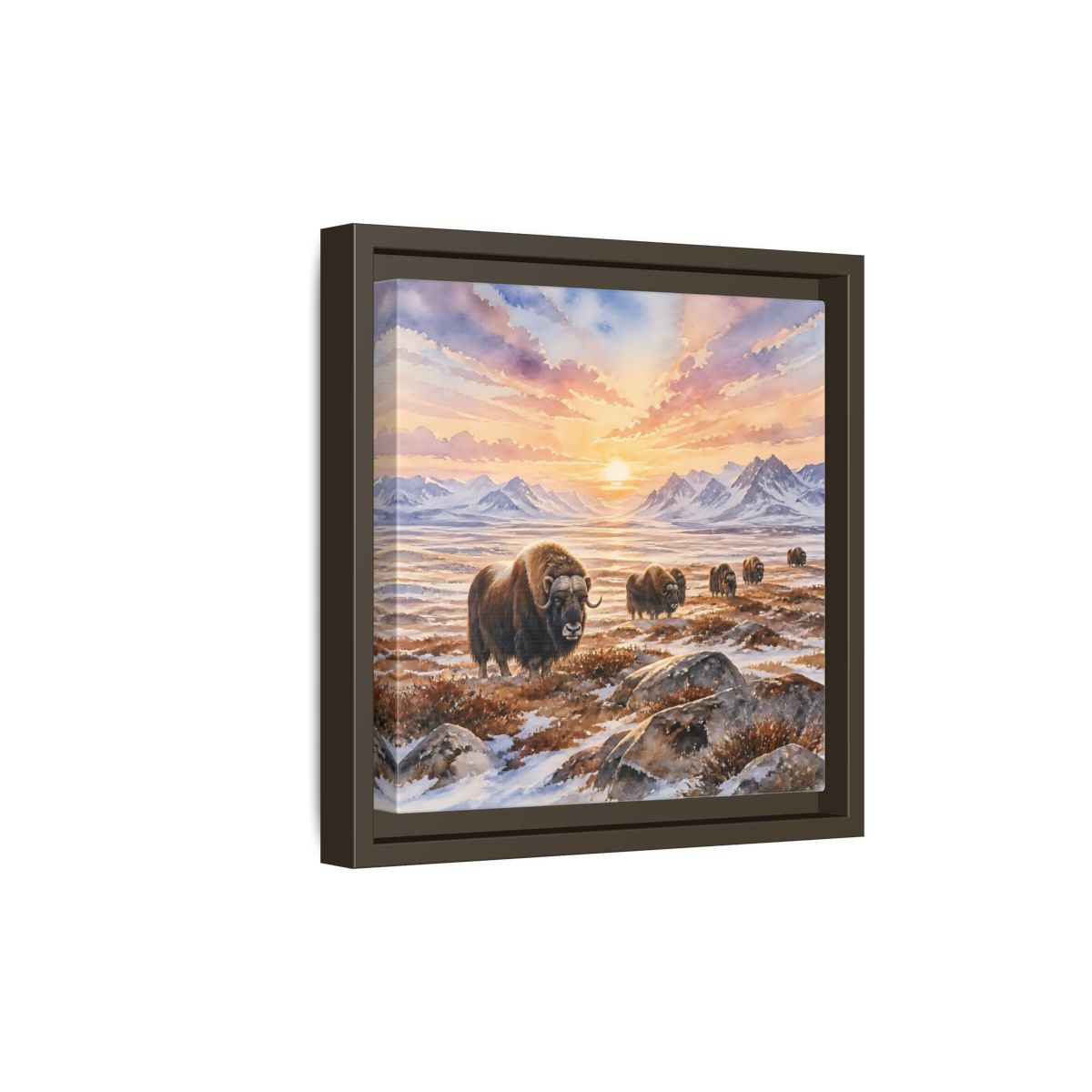 Side Mockup 20. Animals Musk Oxen Musk Oxen Landscape shown as stretched canvas wall art