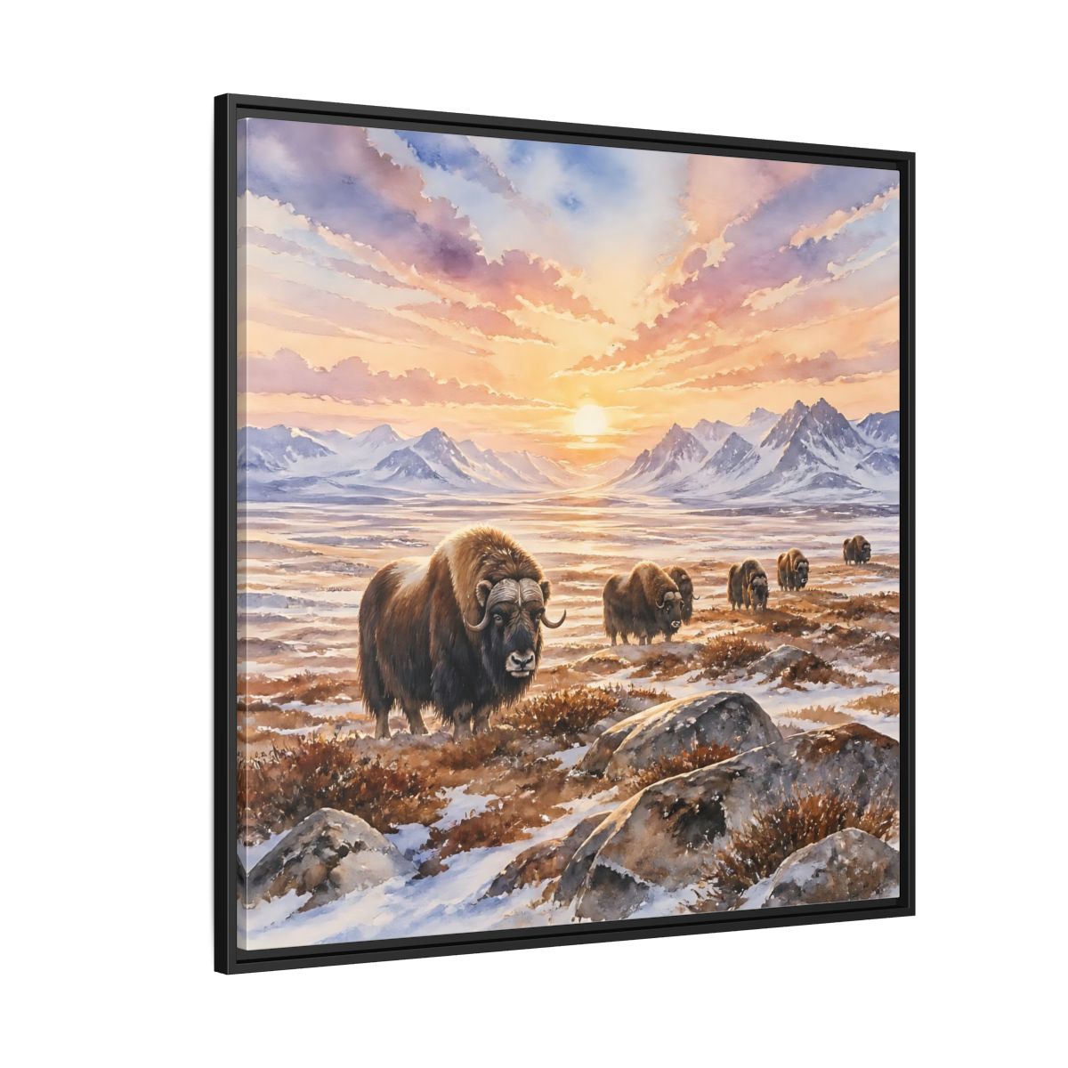 Side Mockup 6. Animals Musk Oxen Musk Oxen Landscape shown as stretched canvas wall art