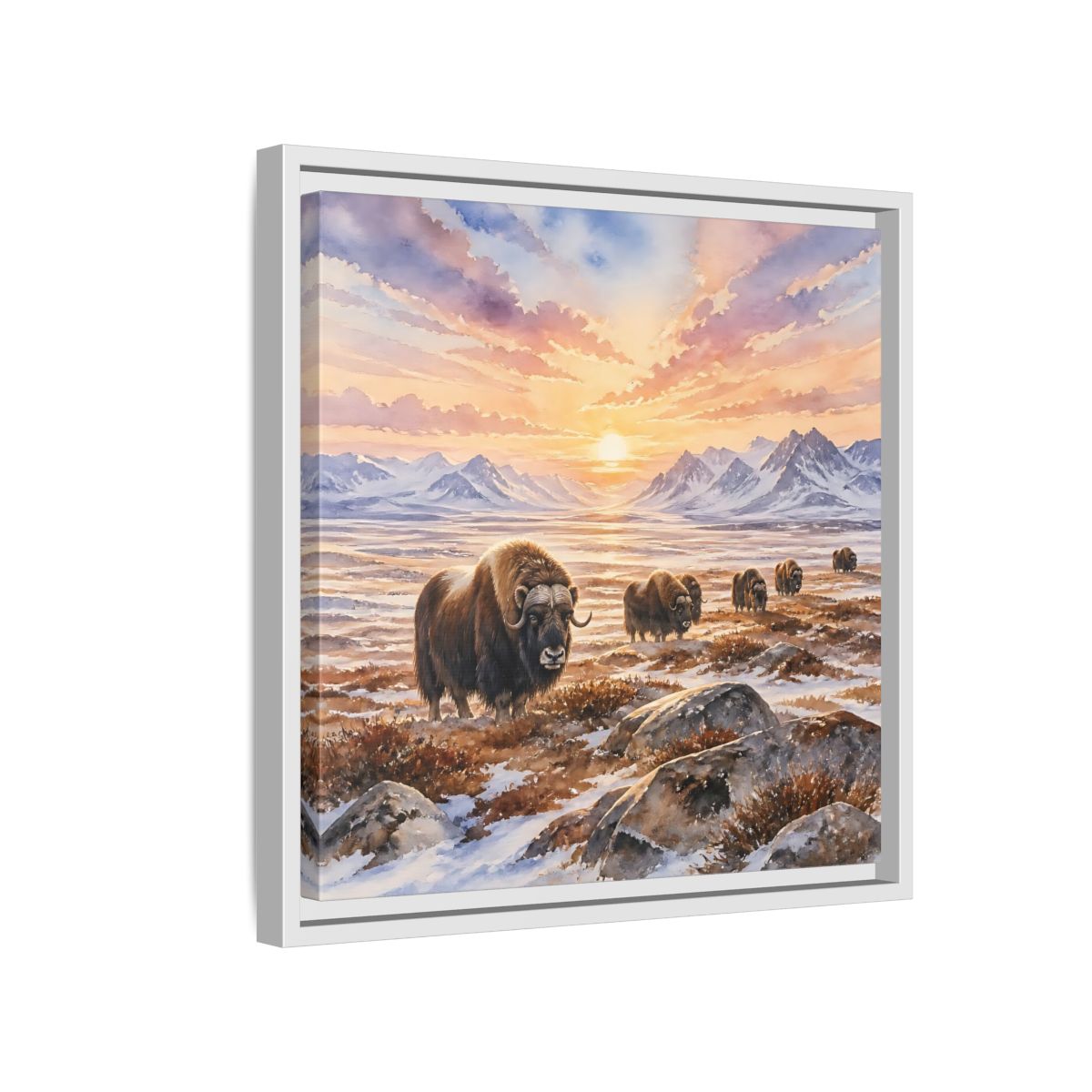 Side Mockup 13. Animals Musk Oxen Musk Oxen Landscape shown as stretched canvas wall art