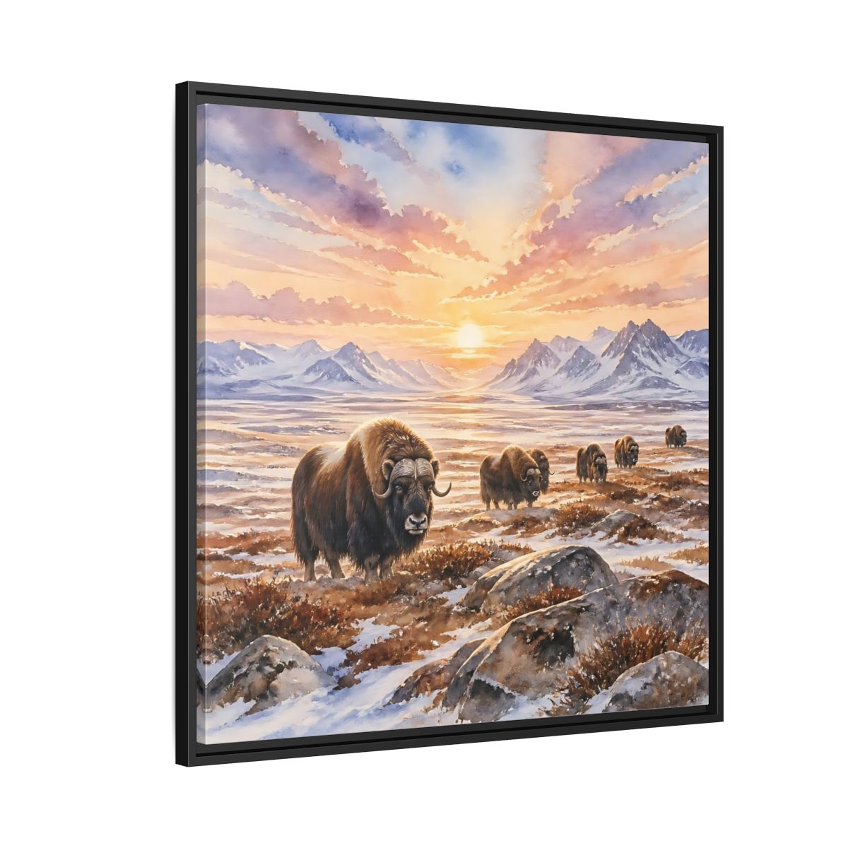 Side Mockup 9. Animals Musk Oxen Musk Oxen Landscape shown as stretched canvas wall art