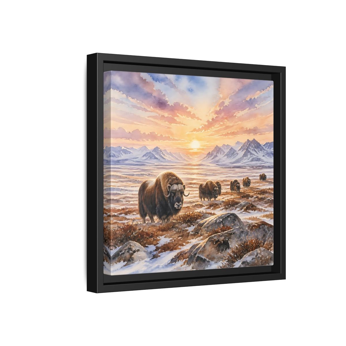 Side Mockup 18. Animals Musk Oxen Musk Oxen Landscape shown as stretched canvas wall art