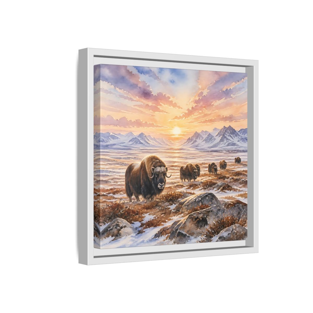 Side Mockup 16. Animals Musk Oxen Musk Oxen Landscape shown as stretched canvas wall art