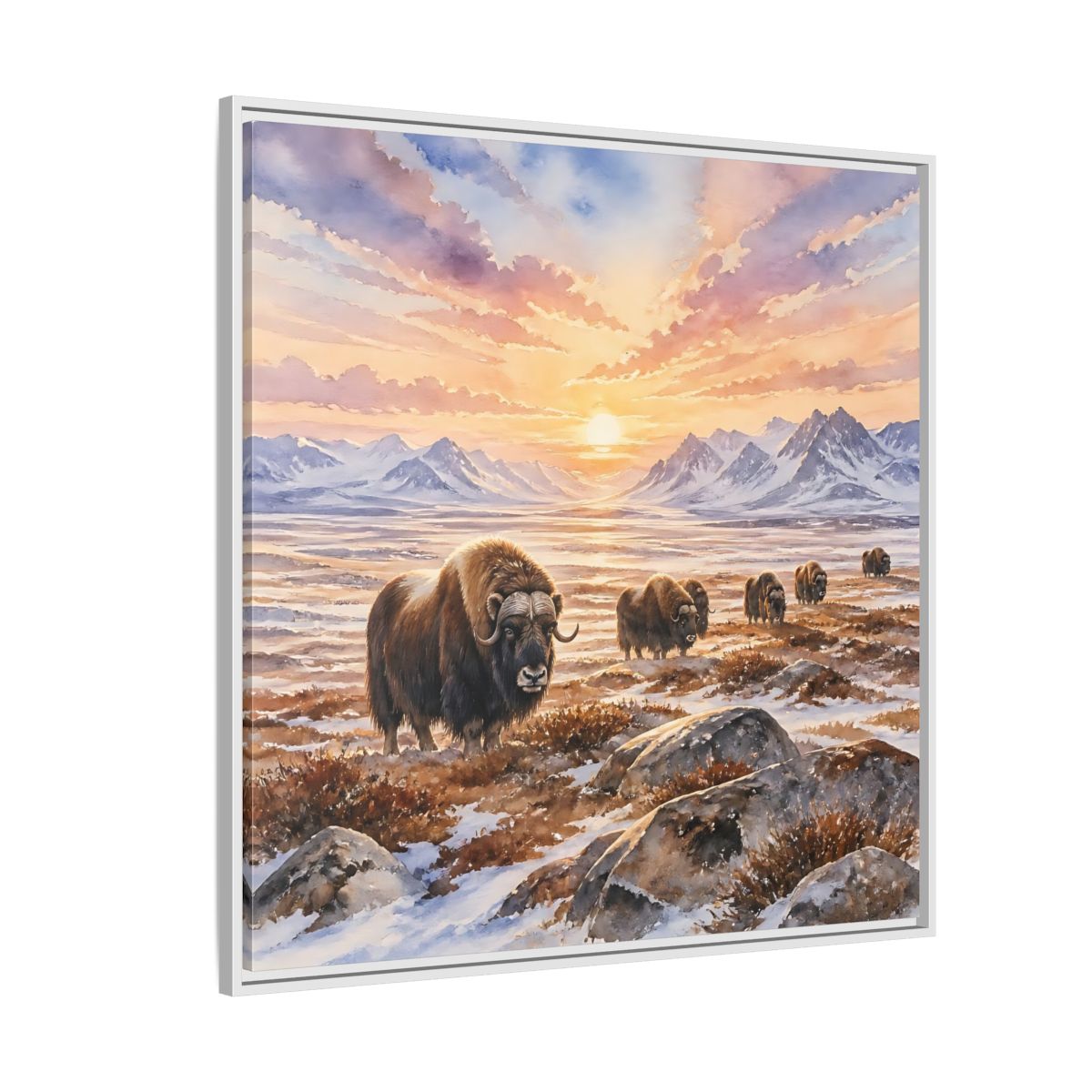 Side Mockup 4. Animals Musk Oxen Musk Oxen Landscape shown as stretched canvas wall art