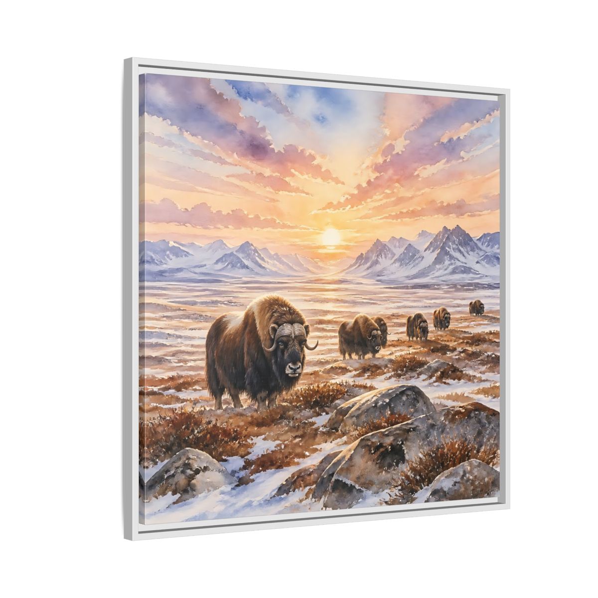 Side Mockup 7. Animals Musk Oxen Musk Oxen Landscape shown as stretched canvas wall art