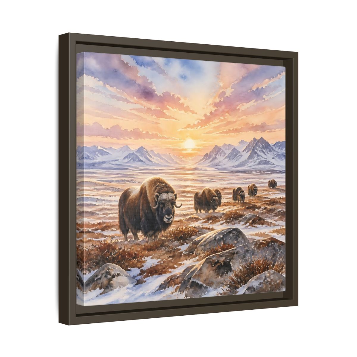 Side Mockup 29. Animals Musk Oxen Musk Oxen Landscape shown as stretched canvas wall art