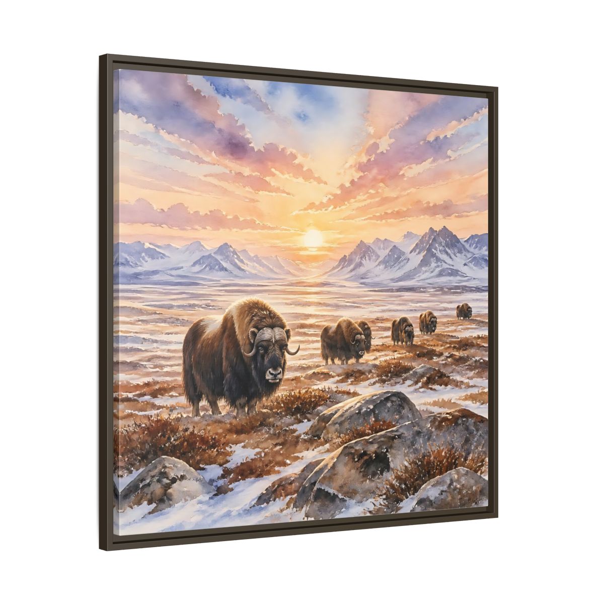 Main Mockup. Animals Musk Oxen Musk Oxen Landscape shown as stretched canvas wall art