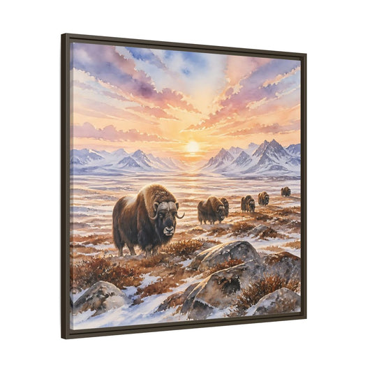 Main Mockup. Animals Musk Oxen Musk Oxen Landscape shown as stretched canvas wall art