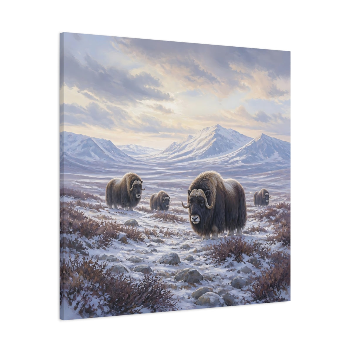Side Mockup 1. Animals Musk Oxen Musk Ox Winter shown as stretched canvas wall art