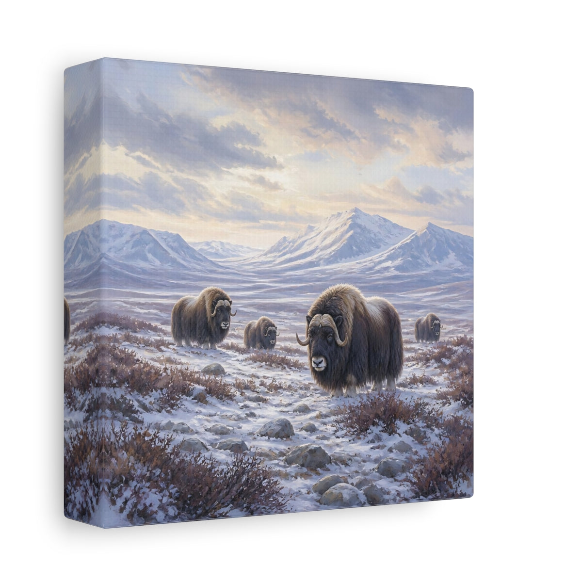 Side Mockup 2. Animals Musk Oxen Musk Ox Winter shown as stretched canvas wall art
