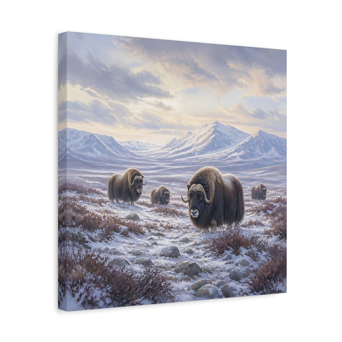 Side Mockup 6. Animals Musk Oxen Musk Ox Winter shown as stretched canvas wall art