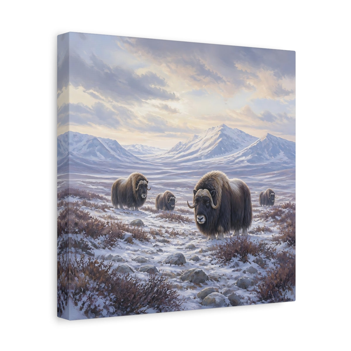 Side Mockup 8. Animals Musk Oxen Musk Ox Winter shown as stretched canvas wall art