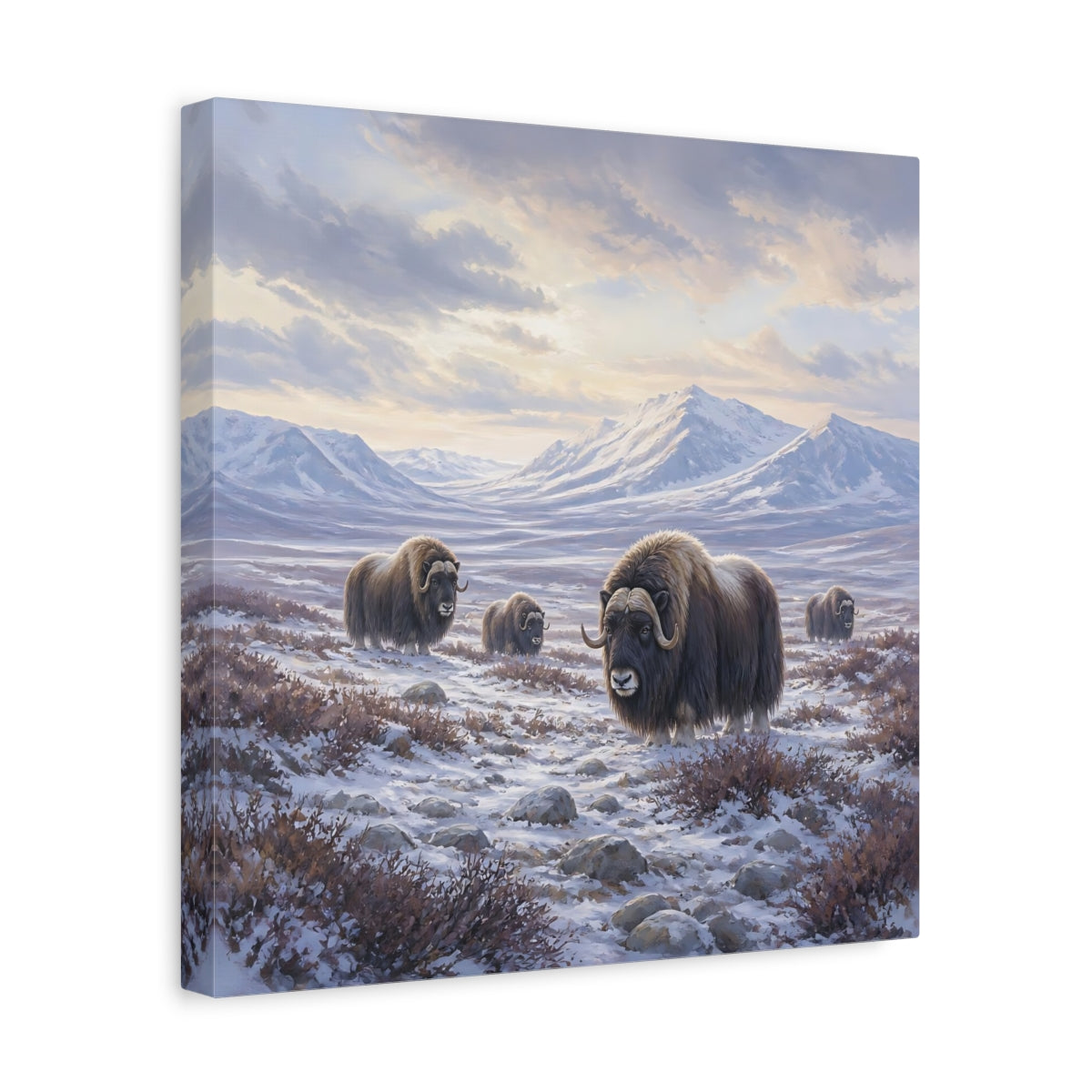 Side Mockup 7. Animals Musk Oxen Musk Ox Winter shown as stretched canvas wall art