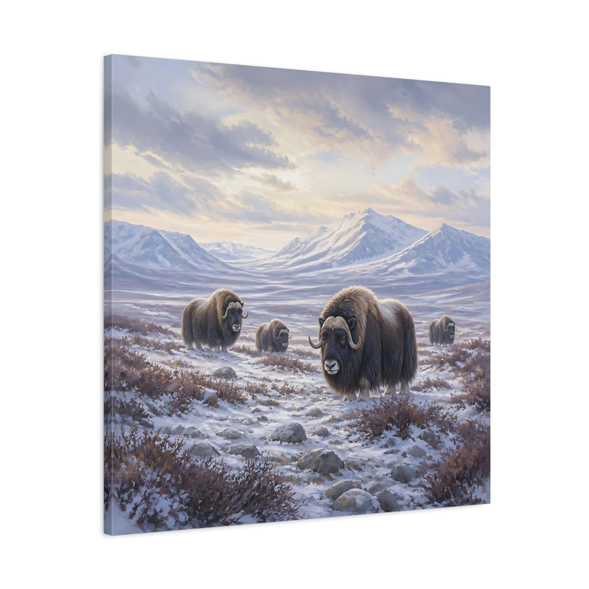 Side Mockup 3. Animals Musk Oxen Musk Ox Winter shown as stretched canvas wall art