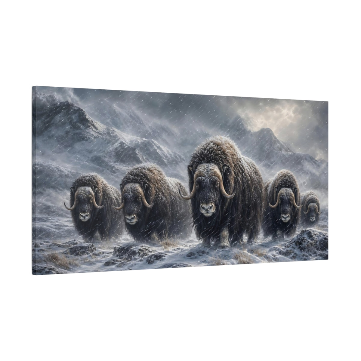 Side Mockup 2. Animals Musk Oxen Musk Oxen Snow shown as stretched canvas wall art