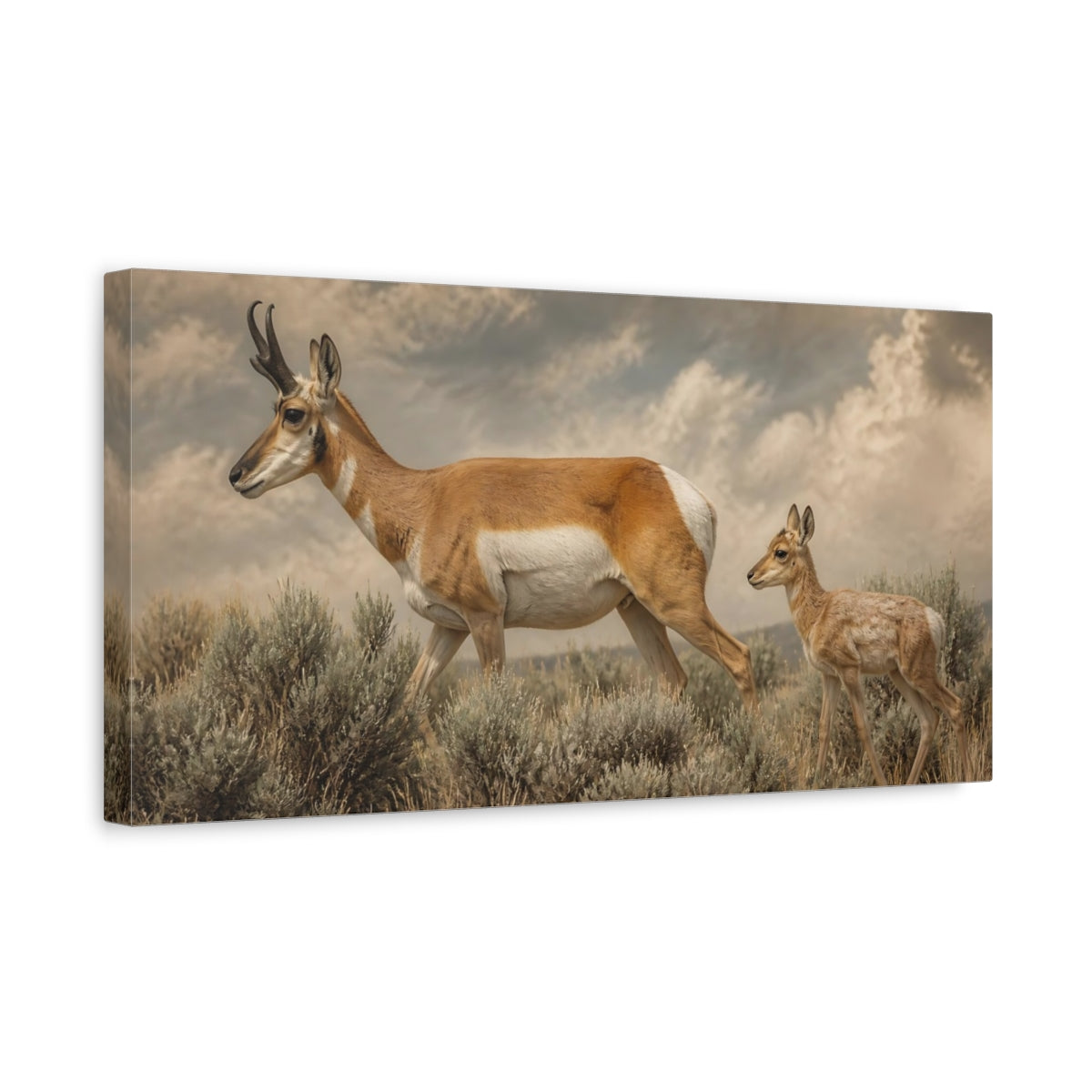 Side Mockup 3. Animals Pronghorn Brown Tan shown as stretched canvas wall art