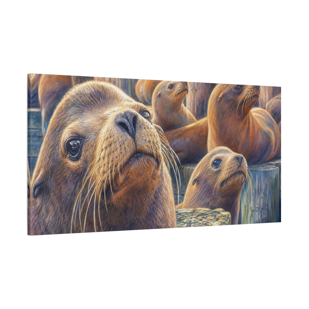 Side Mockup 2. Animals Sea Lions Brown And Blue Sea Lions shown as stretched canvas wall art