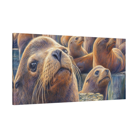 Main Mockup. Animals Sea Lions Brown And Blue Sea Lions shown as stretched canvas wall art
